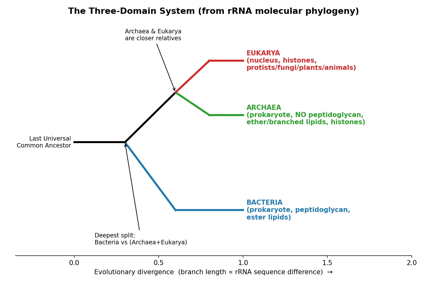 Figure — Describe the three-domain system