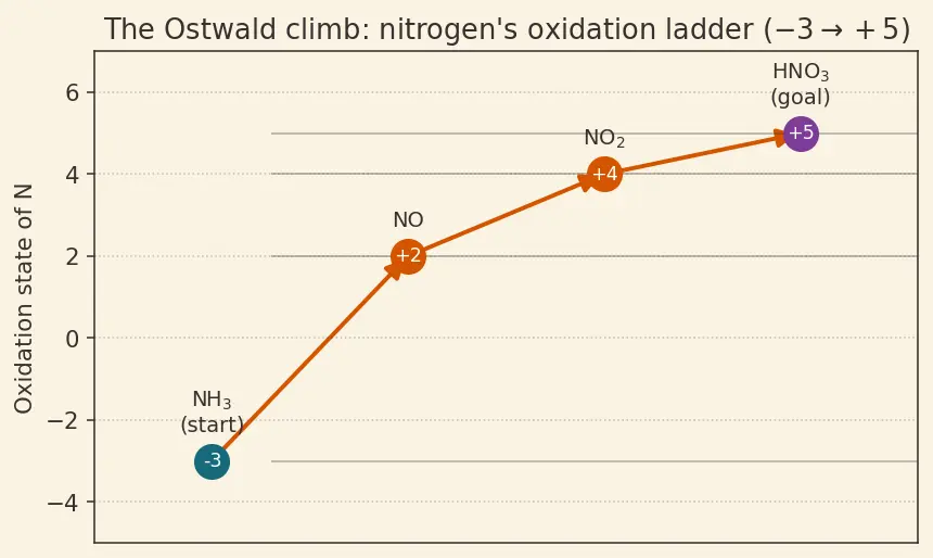 Figure — Group 15 (Nitrogen family) — N₂ inertness; NH₃ synthesis (Haber); HNO₃ (Ostwald); oxides of N (N₂O, NO, NO₂, N₂O₄, N₂O₅)