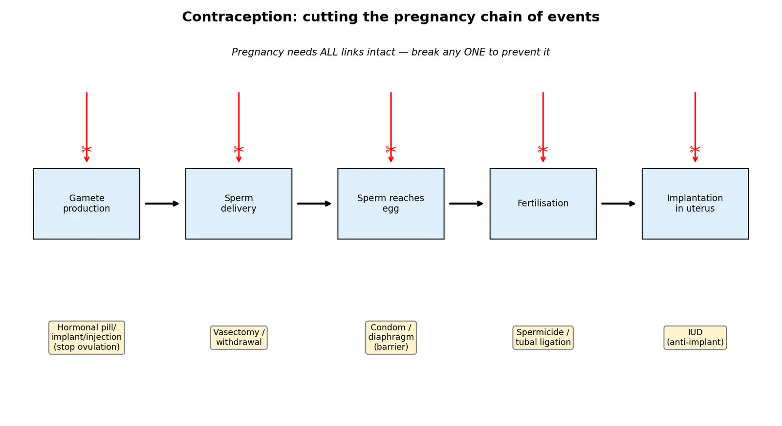 Figure — Describe contraception methods overview
