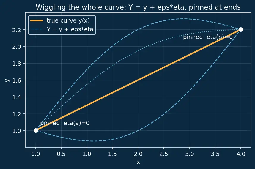 Figure — Euler-Lagrange equation — derivation