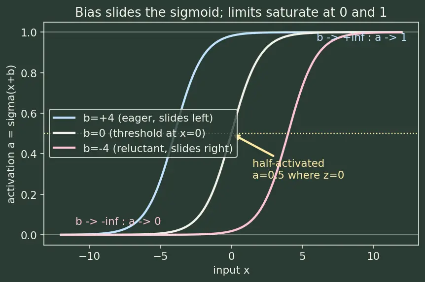 Figure — Bias terms and their role