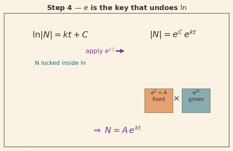 Figure — Exponential growth and decay models — half-life, doubling time
