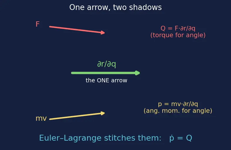 Figure — Generalized momenta and generalized forces