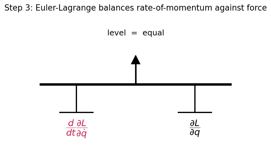 Figure — Cyclic coordinates — corresponding conservation law