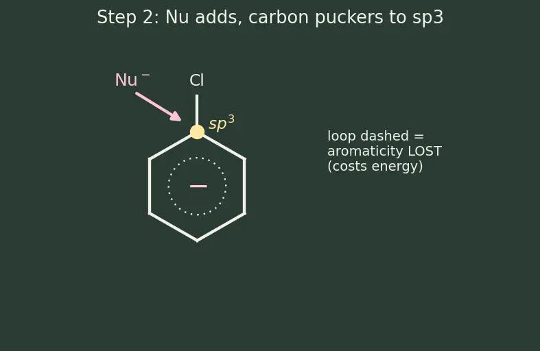 Figure — Aryl halides — low reactivity, addition-elimination (benzyne mechanism), nucleophilic aromatic substitution
