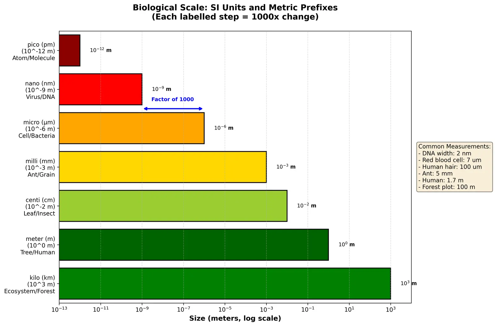 Figure — Use SI units and metric prefixes in biology