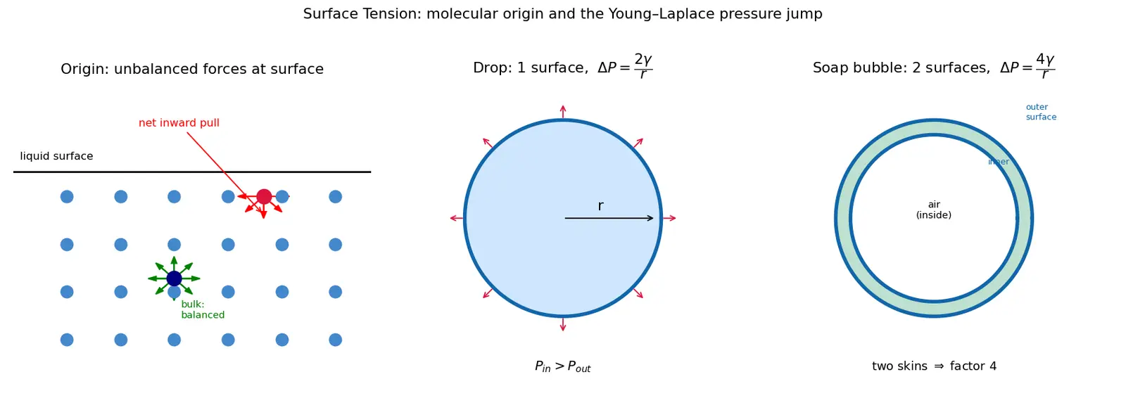 Figure — Surface tension — origin, Young-Laplace equation