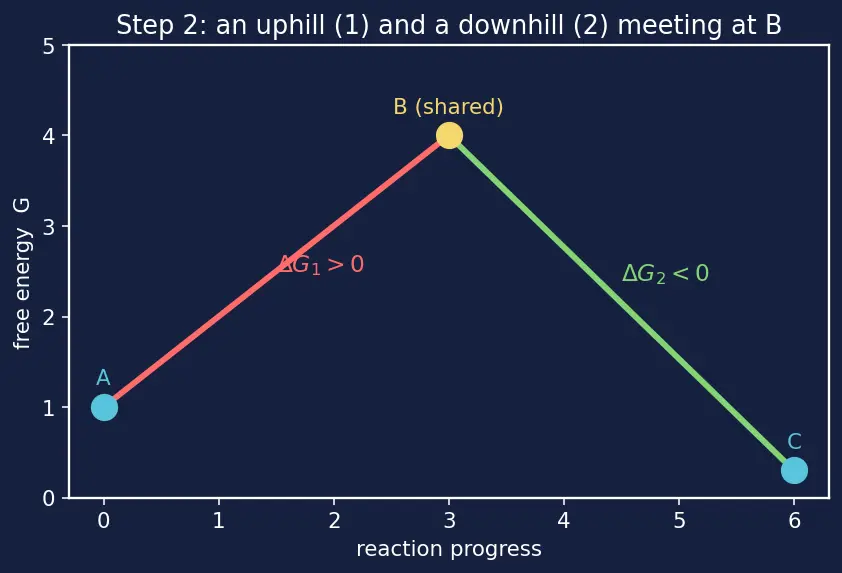 Figure — Coupling reactions — driving unfavorable reactions