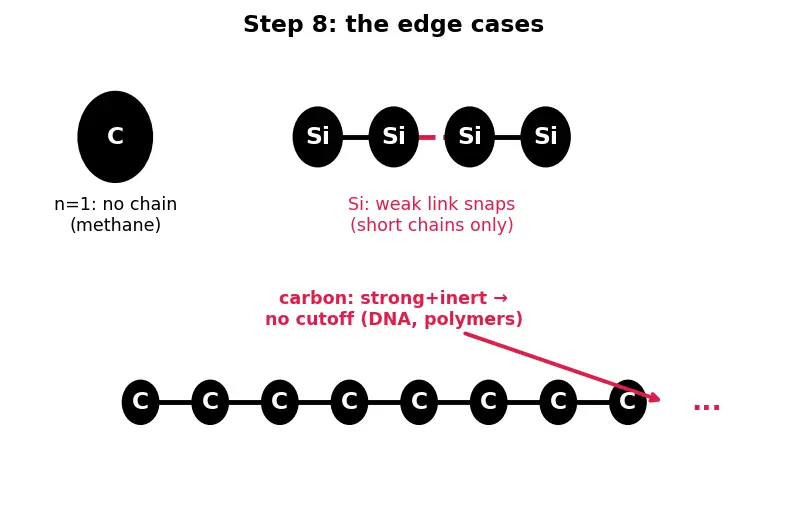 Figure — Catenation and the diversity of organic molecules
