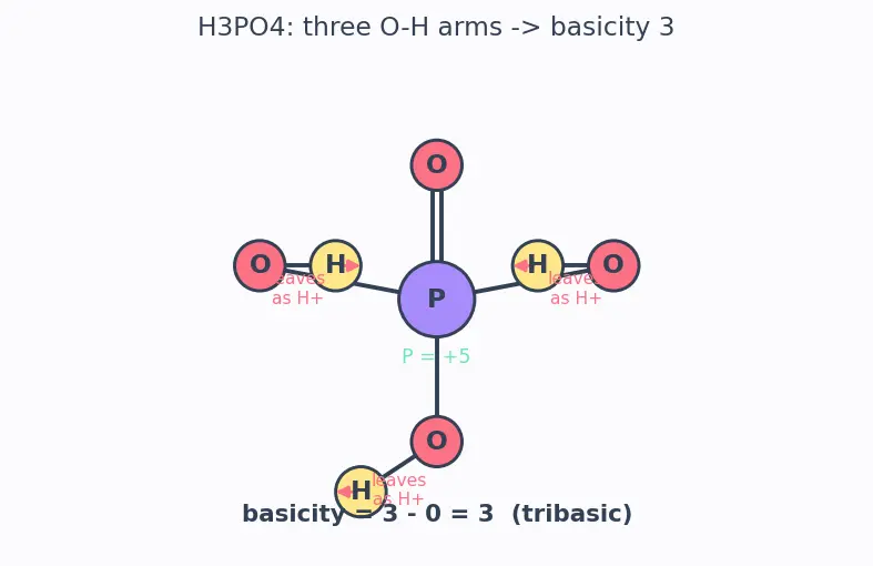 Figure — Phosphorus allotropes (white, red, black); P₄O₆, P₄O₁₀; oxoacids of P (H₃PO₃ vs H₃PO₄ basicity)