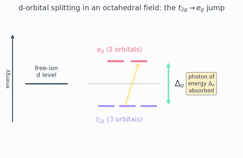 Figure — Colour and spectra — d-d transitions, charge transfer; selection rules