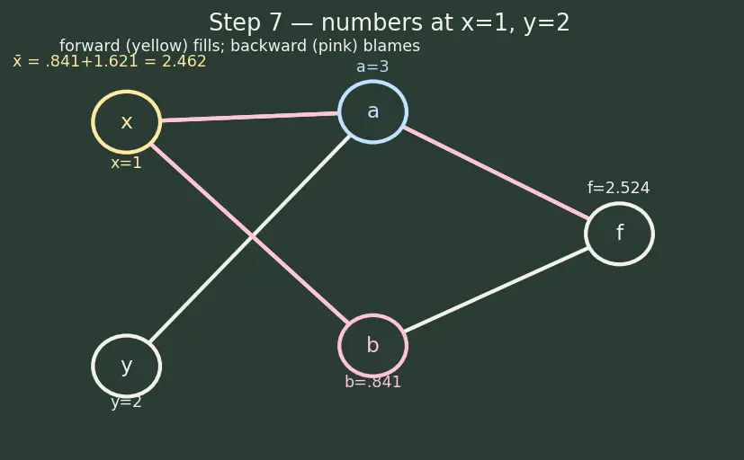 Figure — Computational graphs and autograd