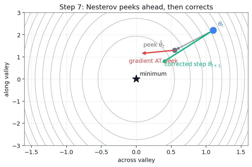 Figure — Momentum and Nesterov momentum