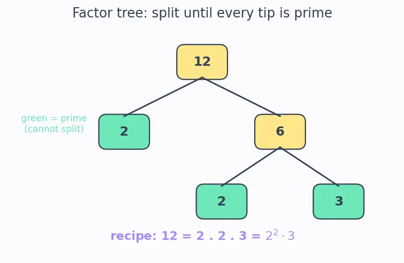 Figure — LCM — prime factorization method, relationship HCF × LCM = product