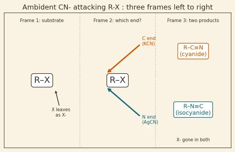 Figure — Cyanides and isocyanides