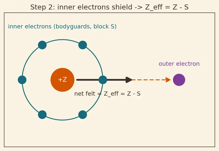 Figure — Atomic - ionic size trends; lanthanide contraction