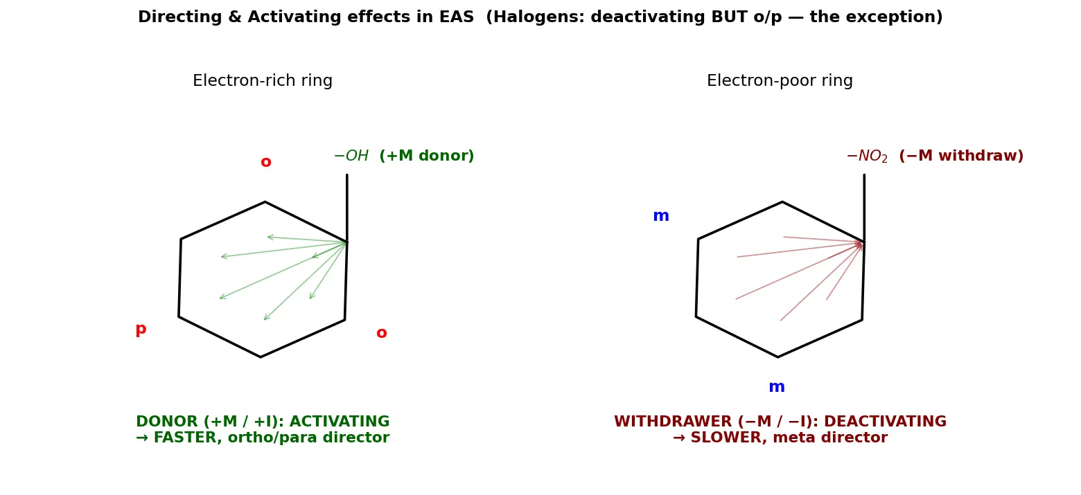 Figure — Activating vs deactivating groups; ortho - para vs meta directors; reactivity order