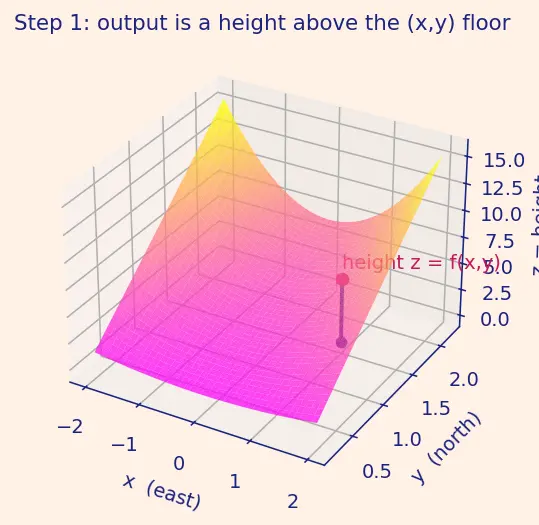 Figure — Partial derivatives