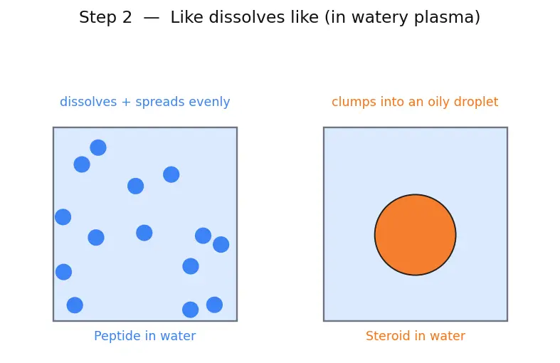 Figure — Hormones — peptide vs steroid (overview)