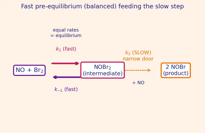Figure — Reaction mechanisms — elementary steps, rate-determining step