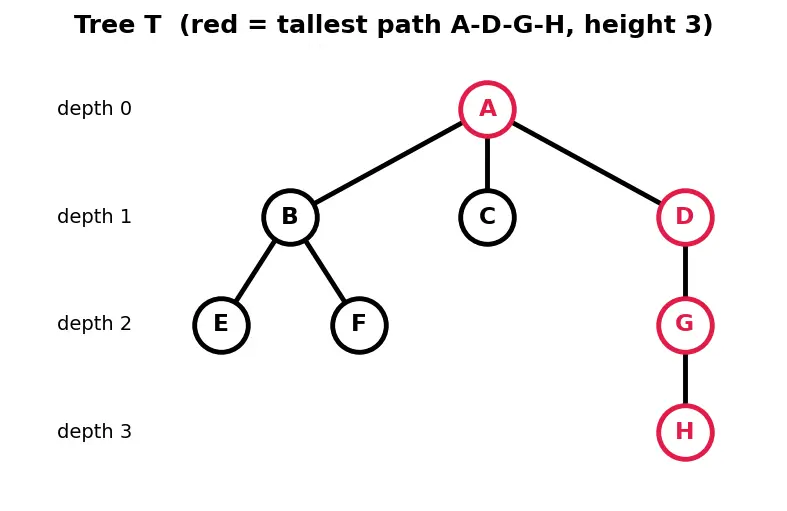 Figure — Tree terminology — root, leaf, height, depth, degree, subtree