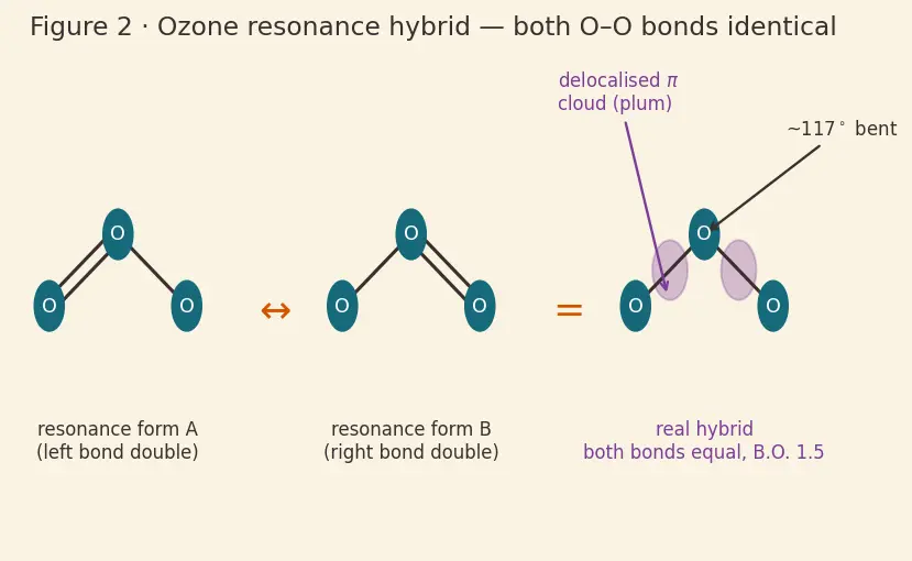Figure — Group 16 (Oxygen family) — allotropes of O (O₂, O₃); ozone chemistry, ozone layer