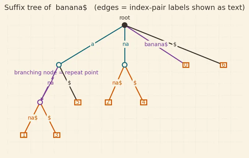 Figure — Suffix tree (conceptual)