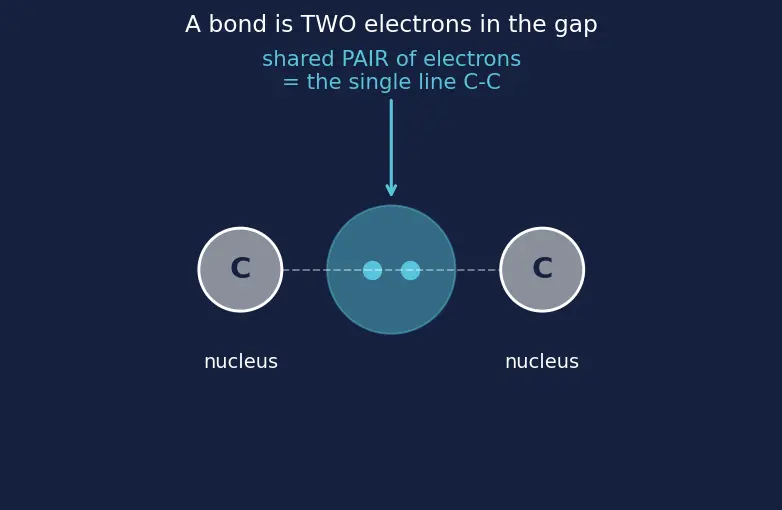 Figure — Markovnikov vs anti-Markovnikov (peroxide effect, Kharasch)