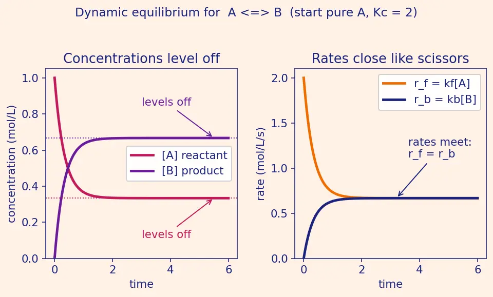 Figure — Reversible reactions and dynamic equilibrium