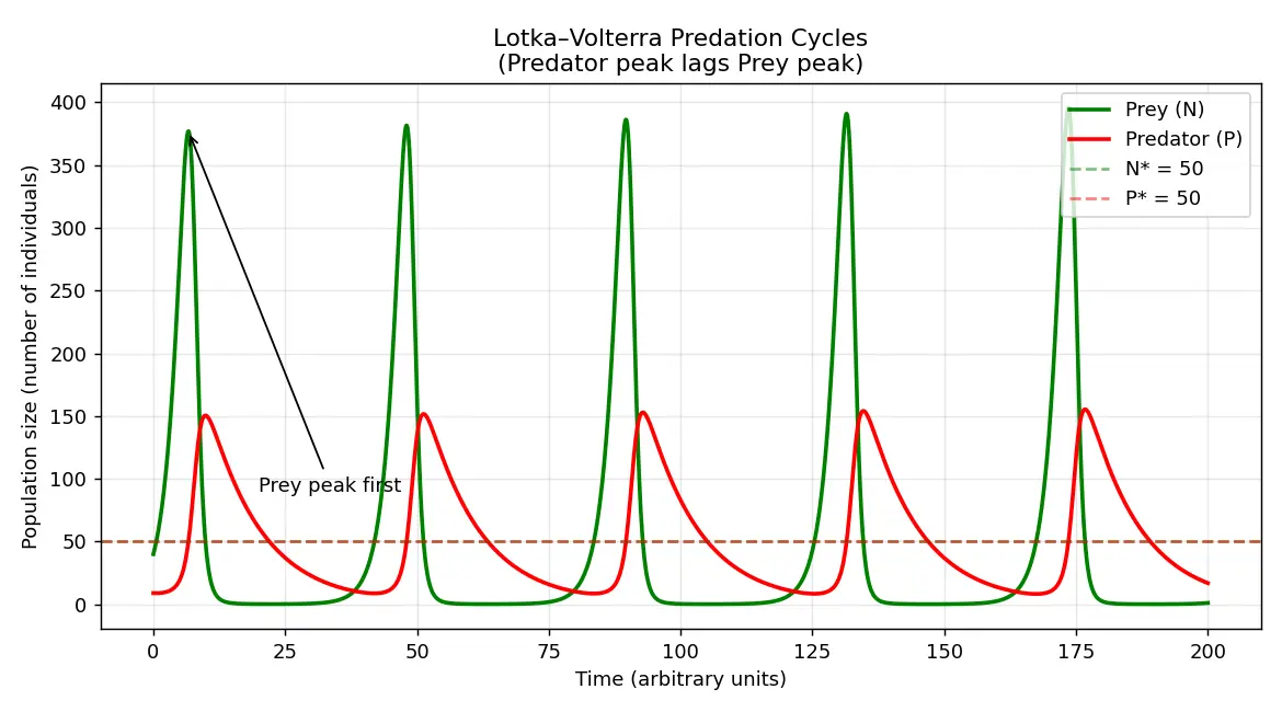 Figure — Describe predation and its effects