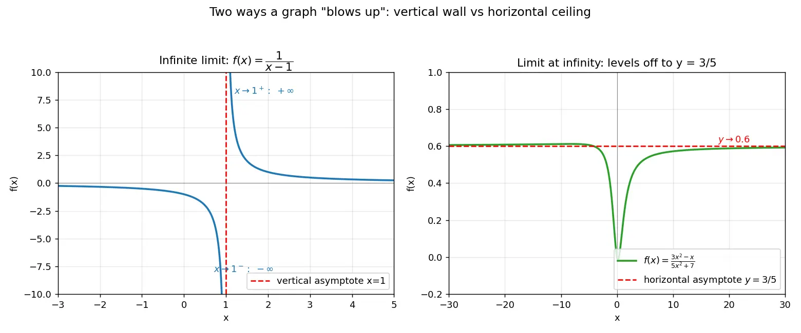 Figure — Infinite limits and limits at infinity — vertical - horizontal asymptotes