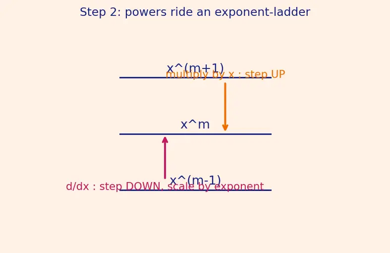 Figure — Cauchy-Euler (Equidimensional) equation