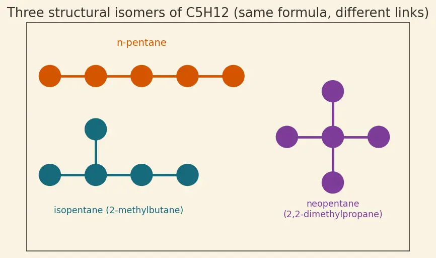 Figure — Catenation and the diversity of organic molecules