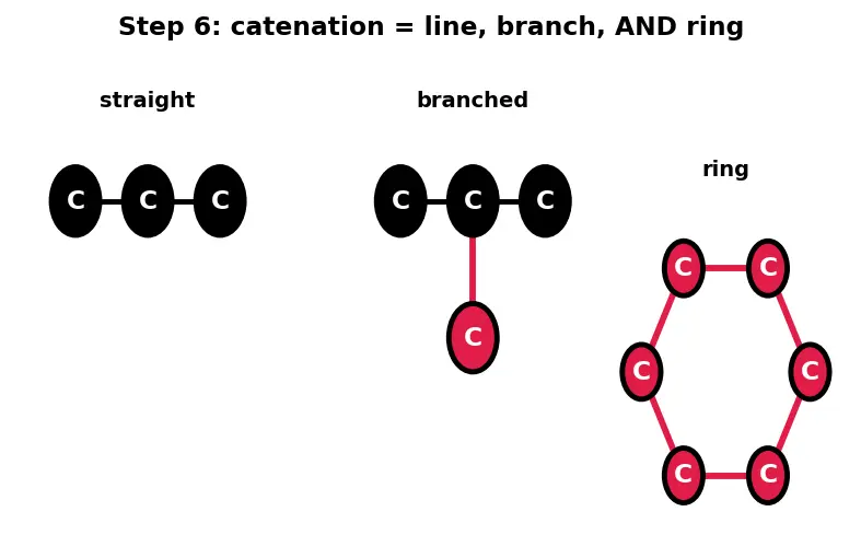 Figure — Catenation and the diversity of organic molecules