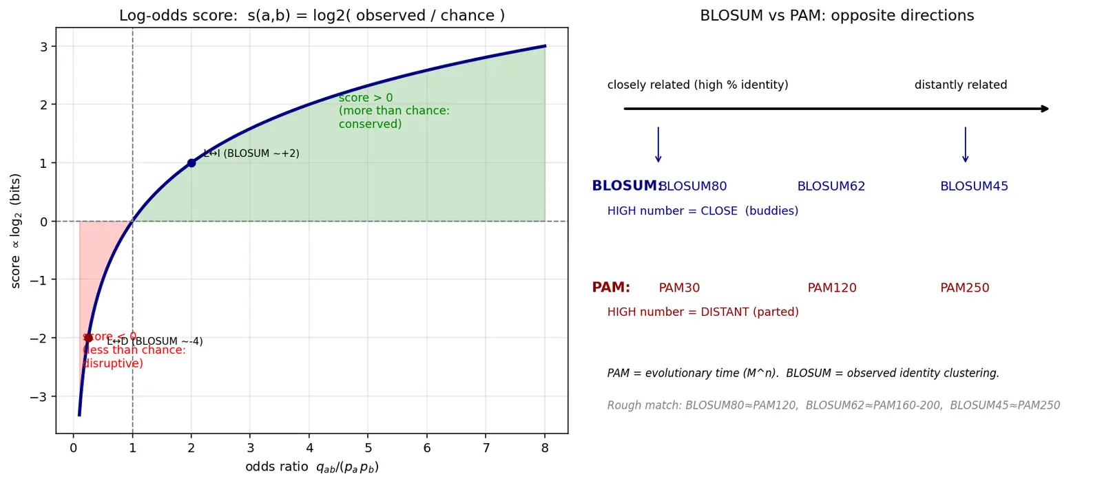 Figure — Explain scoring matrices (BLOSUM, PAM)