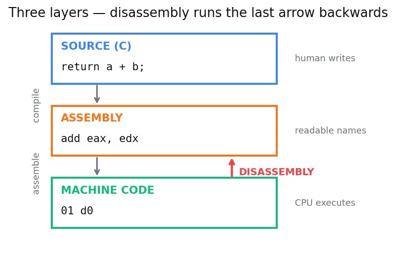 Figure — Disassembly — objdump, reading assembly