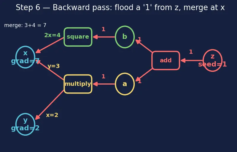 Figure — Autograd and computational graphs in PyTorch