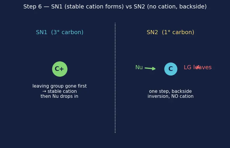 Figure — Types of organic reactions — addition, substitution, elimination, rearrangement