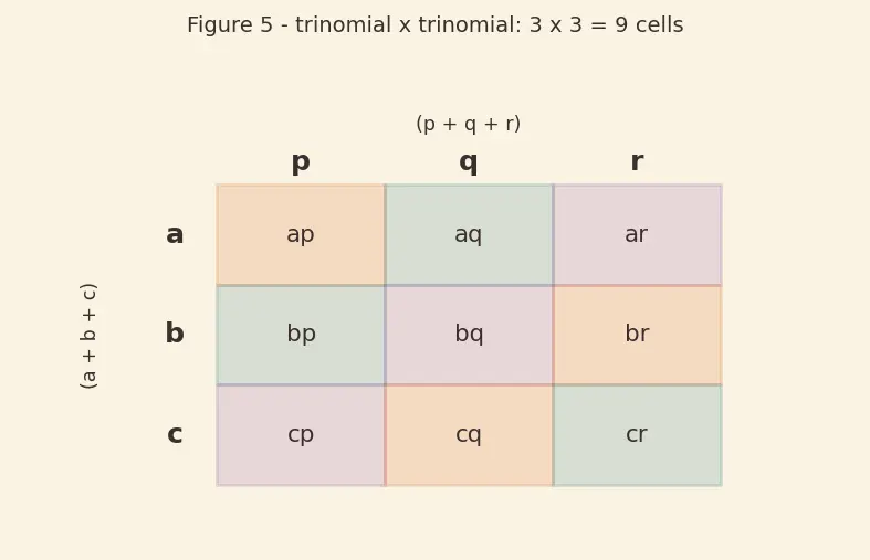 Figure — Multiplication of algebraic expressions — monomial × polynomial, polynomial × polynomial