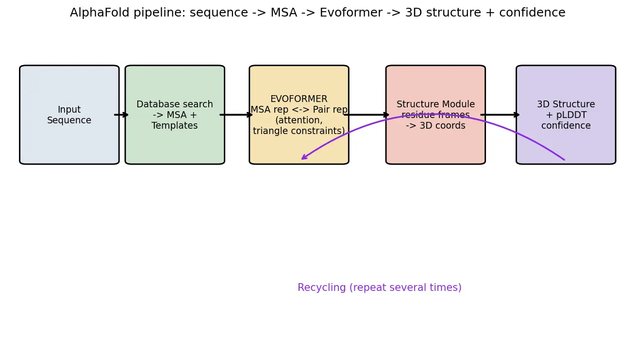 Figure — Describe protein structure prediction (AlphaFold)