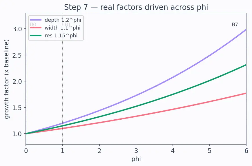 Figure — DenseNet and EfficientNet
