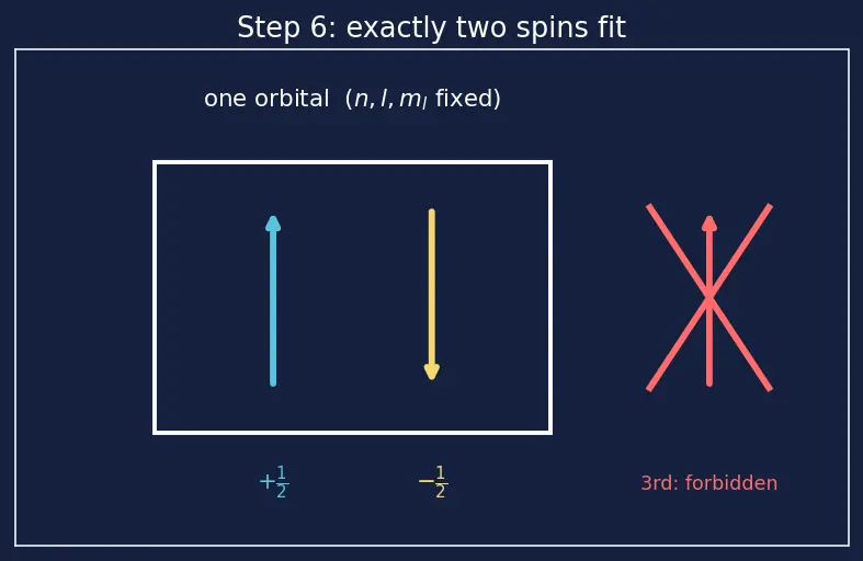 Figure — Pauli exclusion principle