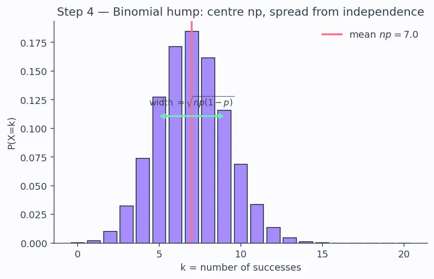 Figure — Common distributions (Bernoulli, Binomial, Poisson)