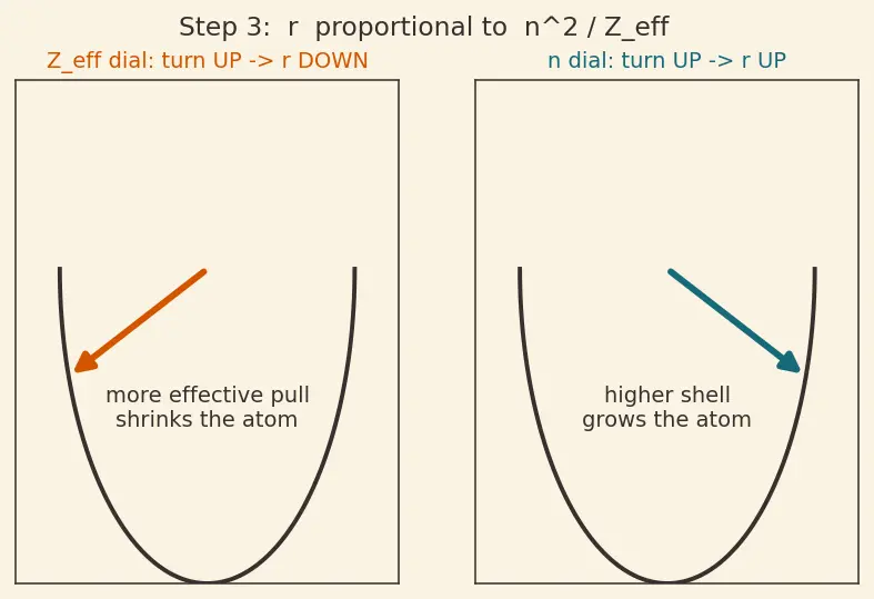 Figure — Atomic - ionic size trends; lanthanide contraction