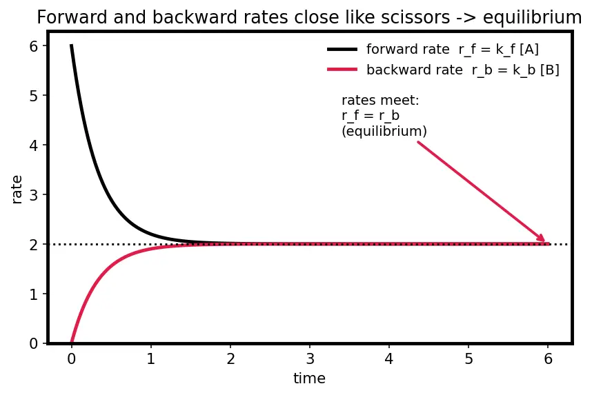 Figure — Reversible reactions and dynamic equilibrium