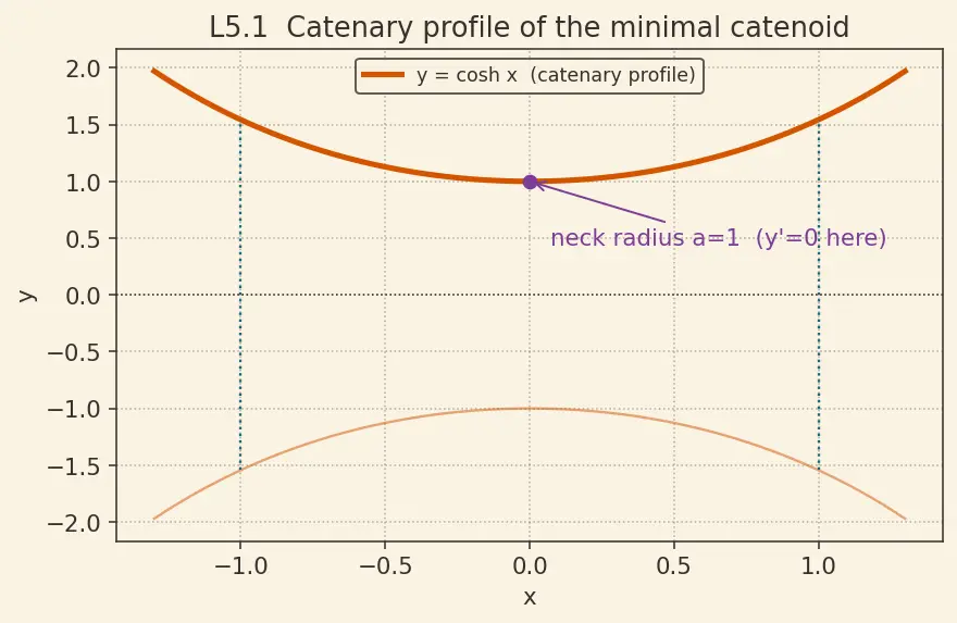 Figure — Euler-Lagrange equation — derivation