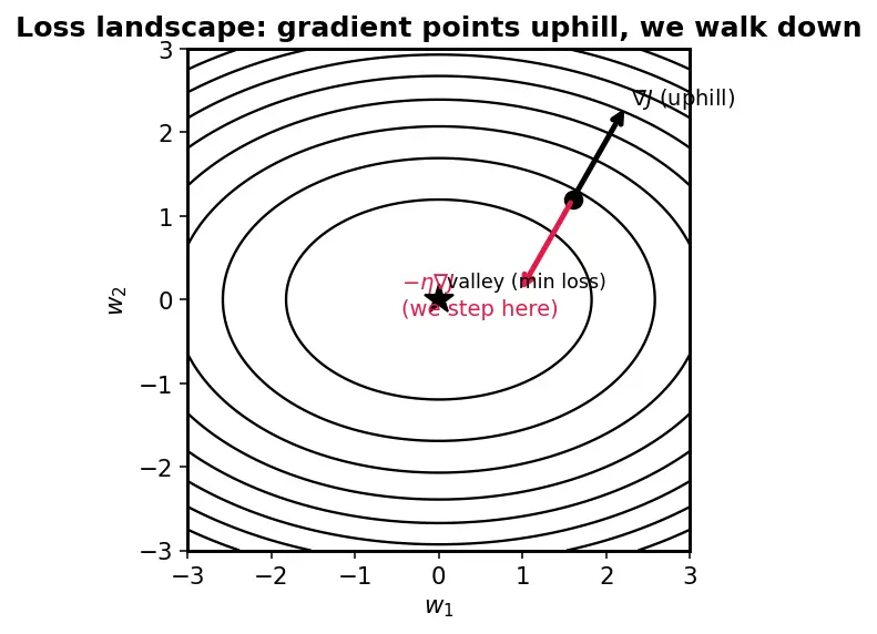 Figure — L1 - L2 weight decay in deep nets