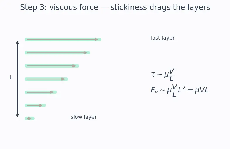 Figure — Similarity — geometric, kinematic, dynamic; Reynolds similarity