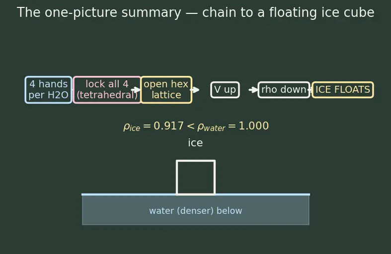 Figure — Hydrogen bonding — intermolecular, intramolecular; consequences (boiling points, water density)