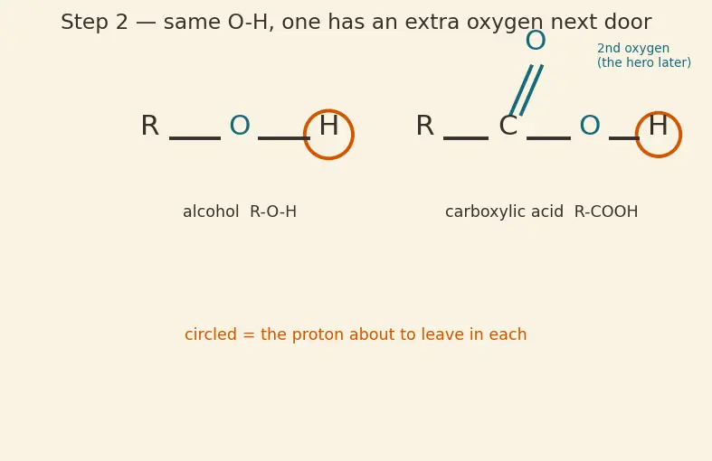 Figure — Carboxylic acids — acidity, derivatives (acid chlorides, anhydrides, esters, amides), Hell-Volhard-Zelinsky, esterificat